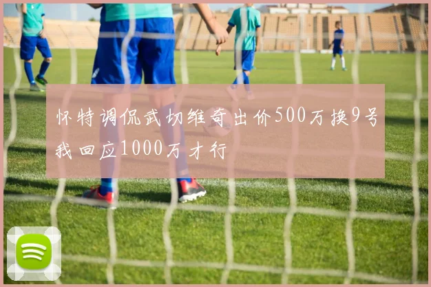 怀特调侃武切维奇出价500万换9号我回应1000万才行