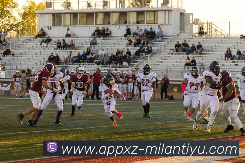 未来规划