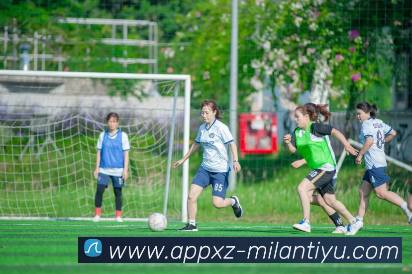 米兰体育APP 封面图